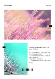 清新作品集小册子-2图-2文本2